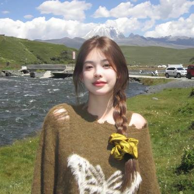我是纳斯琳 海报