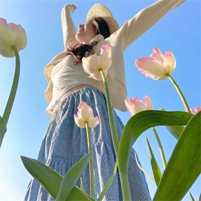 三女怀春 海报